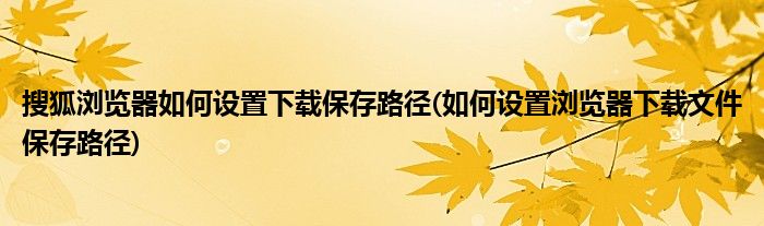 搜狐瀏覽器如何設(shè)置下載保存路徑(如何設(shè)置瀏覽器下載文件保存路徑)