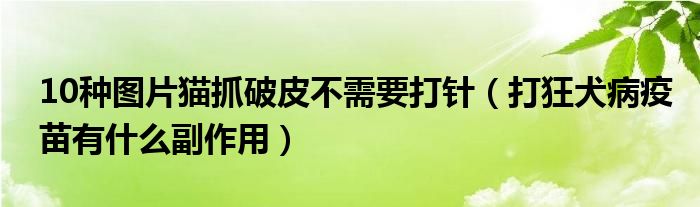 10種圖片貓抓破皮不需要打針（打狂犬病疫苗有什么副作用）