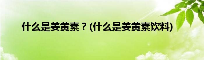 什么是姜黃素？(什么是姜黃素飲料)