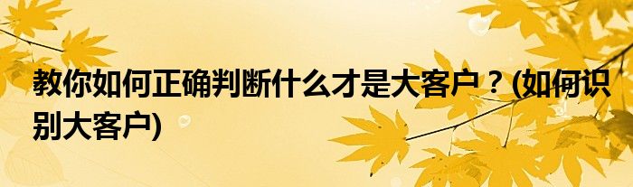 教你如何正確判斷什么才是大客戶？(如何識別大客戶)