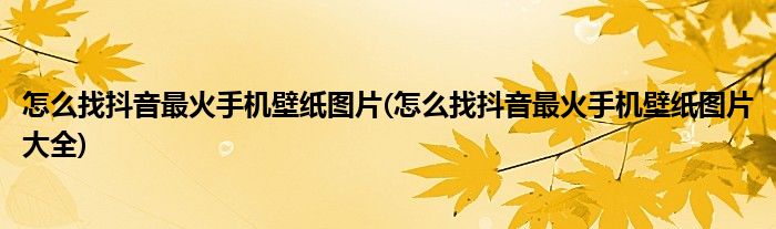 怎么找抖音最火手機壁紙圖片(怎么找抖音最火手機壁紙圖片大全)