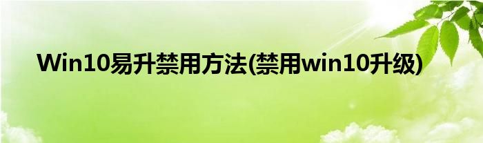 Win10易升禁用方法(禁用win10升級)