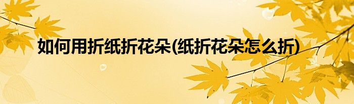 如何用折紙折花朵(紙折花朵怎么折)