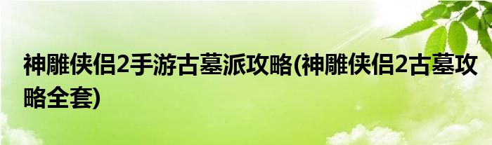 神雕俠侶2手游古墓派攻略(神雕俠侶2古墓攻略全套)