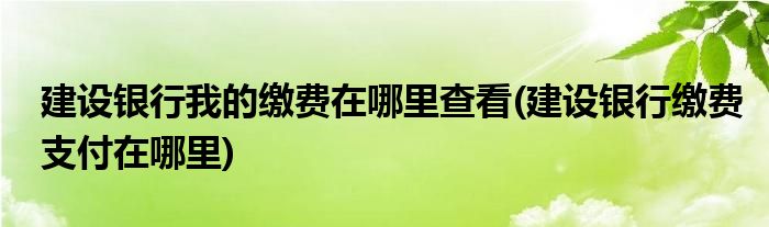 建設銀行我的繳費在哪里查看(建設銀行繳費支付在哪里)