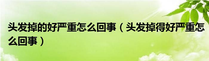 頭發(fā)掉的好嚴(yán)重怎么回事（頭發(fā)掉得好嚴(yán)重怎么回事）