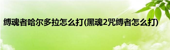 縛魂者哈爾多拉怎么打(黑魂2咒縛者怎么打)