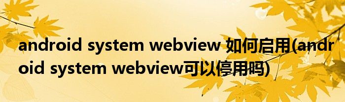 android system webview 如何啟用(android system webview可以停用嗎)