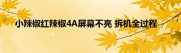 小辣椒紅辣椒4A屏幕不亮 拆機(jī)全過(guò)程