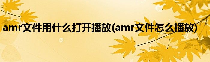 amr文件用什么打開播放(amr文件怎么播放)