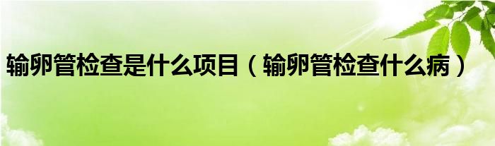 輸卵管檢查是什么項目（輸卵管檢查什么?。?class='thumb lazy' /></a>
		    <header>
		<h2><a  href=