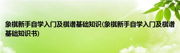 象棋新手自學入門及棋譜基礎知識(象棋新手自學入門及棋譜基礎知識書)