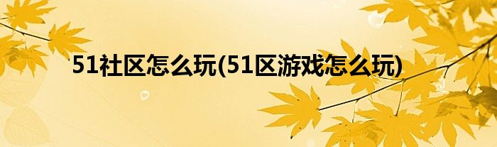 51社區(qū)怎么玩(51區(qū)游戲怎么玩)