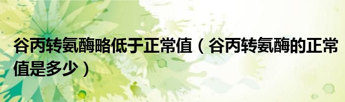 谷丙轉(zhuǎn)氨酶略低于正常值（谷丙轉(zhuǎn)氨酶的正常值是多少）