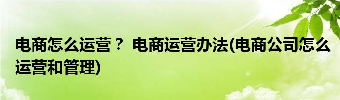 電商怎么運(yùn)營？ 電商運(yùn)營辦法(電商公司怎么運(yùn)營和管理)