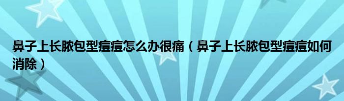 鼻子上長膿包型痘痘怎么辦很痛（鼻子上長膿包型痘痘如何消除）