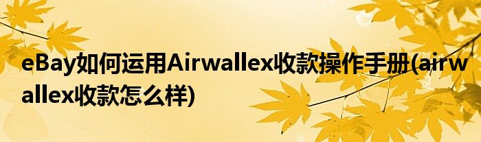 eBay如何運(yùn)用Airwallex收款操作手冊(airwallex收款怎么樣)