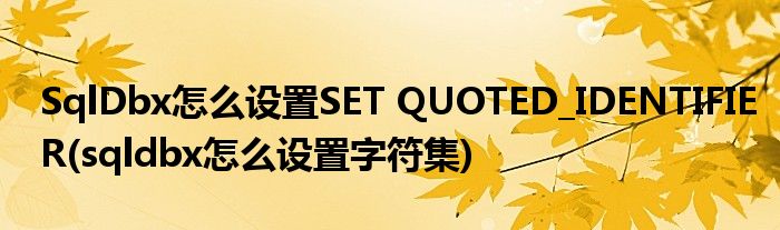 SqlDbx怎么設置SET QUOTED_IDENTIFIER(sqldbx怎么設置字符集)