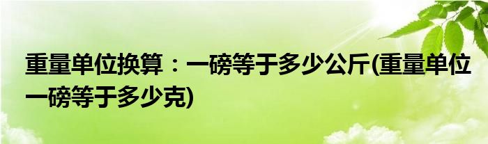 重量單位換算：一磅等于多少公斤(重量單位一磅等于多少克)