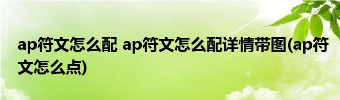 ap符文怎么配 ap符文怎么配詳情帶圖(ap符文怎么點)