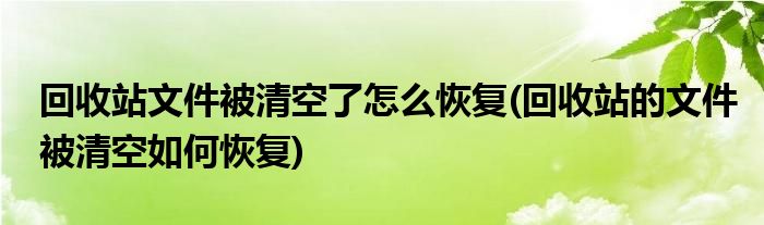 回收站文件被清空了怎么恢復(fù)(回收站的文件被清空如何恢復(fù))