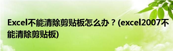 Excel不能清除剪貼板怎么辦？(excel2007不能清除剪貼板)