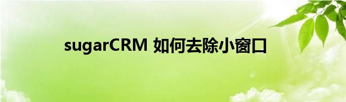 sugarCRM 如何去除小窗口