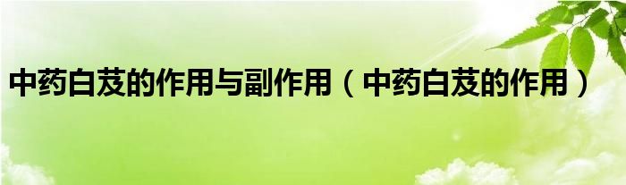 中藥白芨的作用與副作用（中藥白芨的作用）