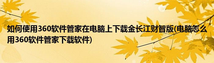 如何使用360軟件管家在電腦上下載金長江財(cái)智版(電腦怎么用360軟件管家下載軟件)