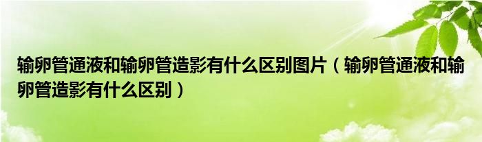 輸卵管通液和輸卵管造影有什么區(qū)別圖片（輸卵管通液和輸卵管造影有什么區(qū)別）