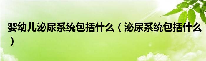 嬰幼兒泌尿系統(tǒng)包括什么（泌尿系統(tǒng)包括什么）