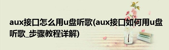 aux接口怎么用u盤聽歌(aux接口如何用u盤聽歌_步驟教程詳解)