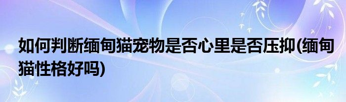 如何判斷緬甸貓寵物是否心里是否壓抑(緬甸貓性格好嗎)