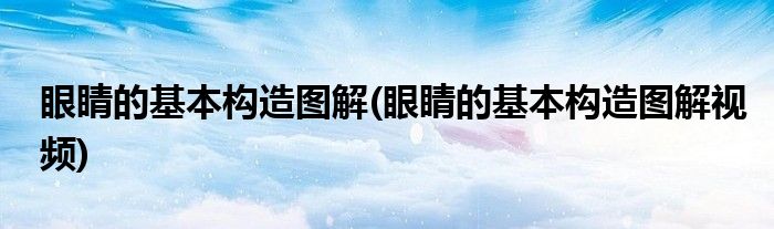 眼睛的基本構(gòu)造圖解(眼睛的基本構(gòu)造圖解視頻)