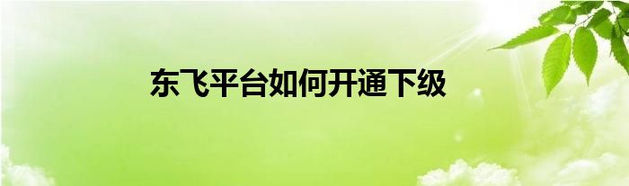 東飛平臺(tái)如何開(kāi)通下級(jí)