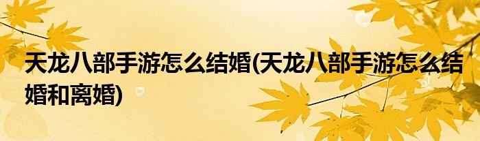 天龍八部手游怎么結(jié)婚(天龍八部手游怎么結(jié)婚和離婚)