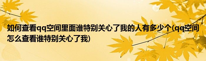 如何查看qq空間里面誰(shuí)特別關(guān)心了我的人有多少個(gè)(qq空間怎么查看誰(shuí)特別關(guān)心了我)