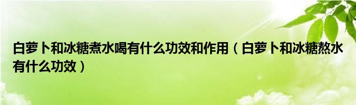 白蘿卜和冰糖煮水喝有什么功效和作用（白蘿卜和冰糖熬水有什么功效）