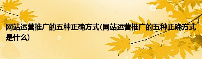 網(wǎng)站運營推廣的五種正確方式(網(wǎng)站運營推廣的五種正確方式是什么)