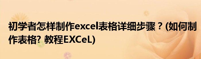 初學(xué)者怎樣制作excel表格詳細(xì)步驟？(如何制作表格? 教程EXCeL)