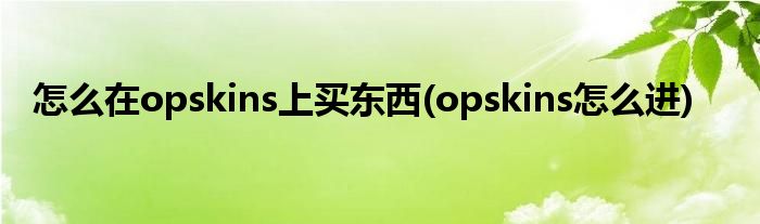 怎么在opskins上買東西(opskins怎么進)