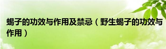 蝎子的功效與作用及禁忌（野生蝎子的功效與作用）