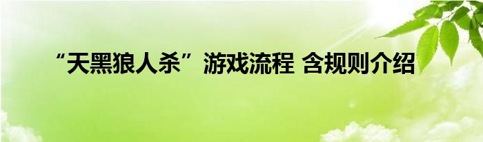 “天黑狼人殺”游戲流程 含規(guī)則介紹