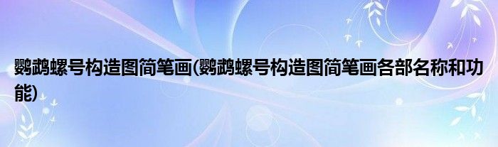 鸚鵡螺號(hào)構(gòu)造圖簡(jiǎn)筆畫(huà)(鸚鵡螺號(hào)構(gòu)造圖簡(jiǎn)筆畫(huà)各部名稱和功能)