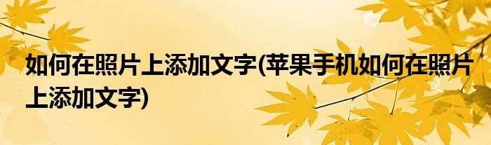 如何在照片上添加文字(蘋果手機(jī)如何在照片上添加文字)