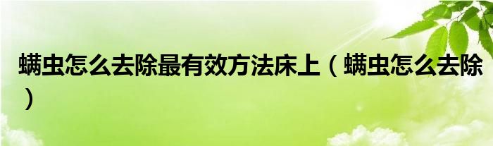 螨蟲怎么去除最有效方法床上（螨蟲怎么去除）