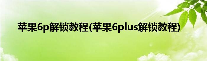 蘋果6p解鎖教程(蘋果6plus解鎖教程)