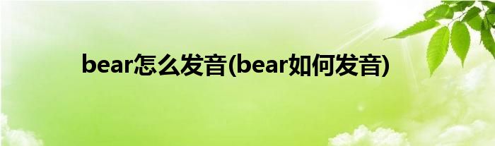 bear怎么發(fā)音(bear如何發(fā)音)