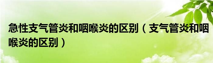 急性支氣管炎和咽喉炎的區(qū)別（支氣管炎和咽喉炎的區(qū)別）