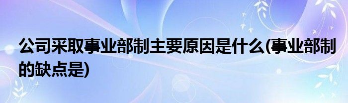 公司采取事業(yè)部制主要原因是什么(事業(yè)部制的缺點是)